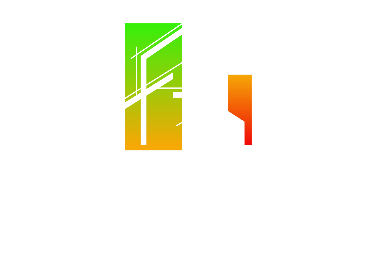 logo blanc dns expertise